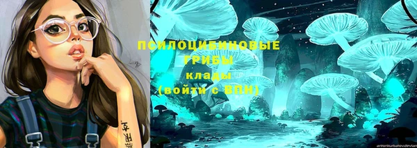 герыч Бородино