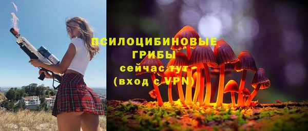 дурь Бронницы